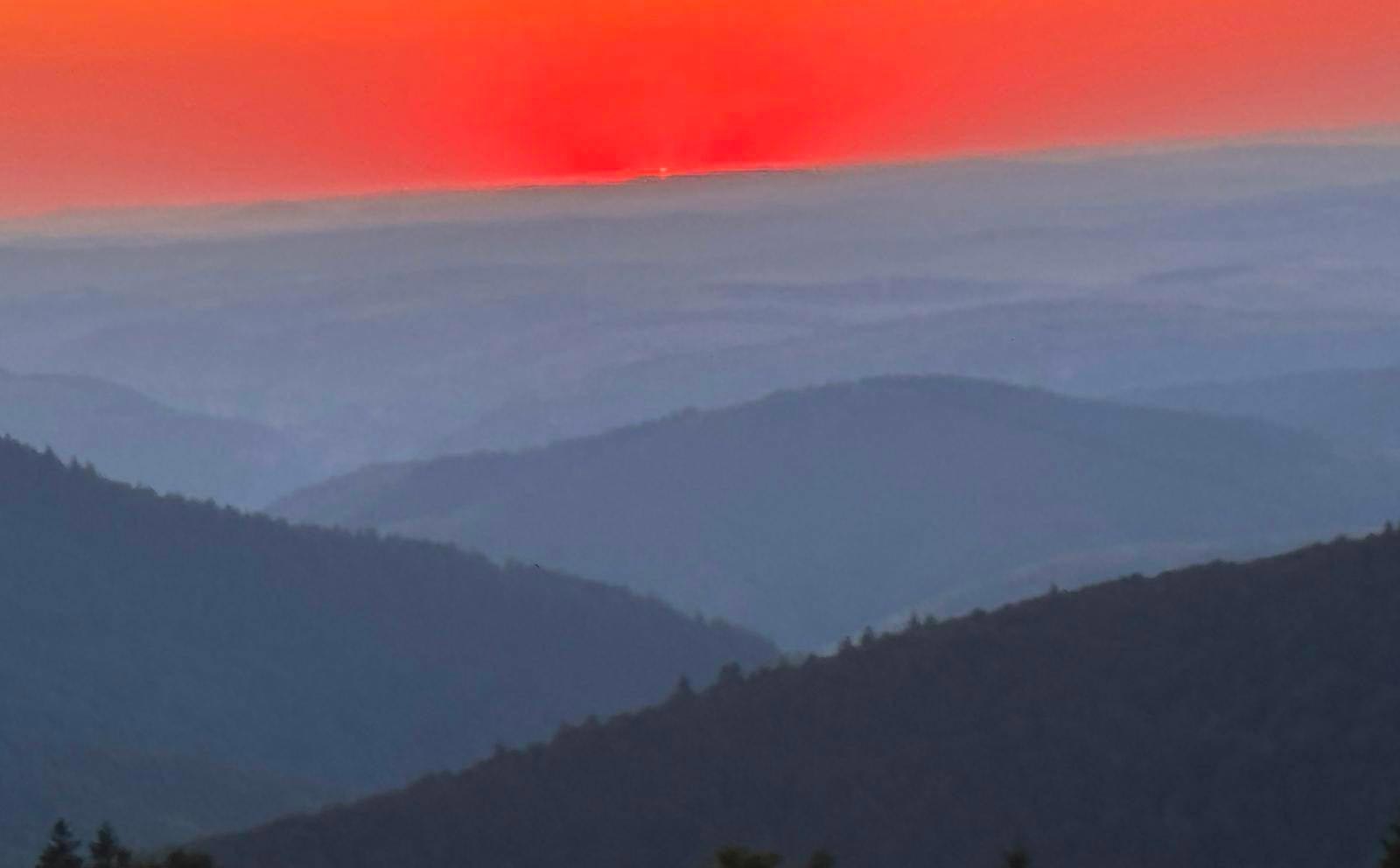 Conception des ateliers d'écriture de Sylvie Reymond Bagur