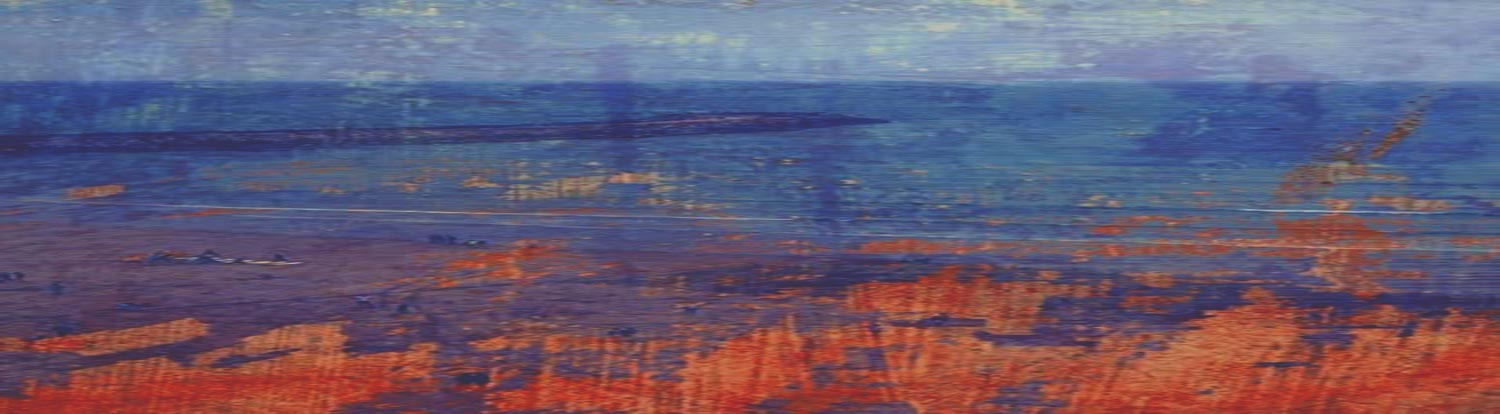 Atelier en ligne et stages d'écriture 2026